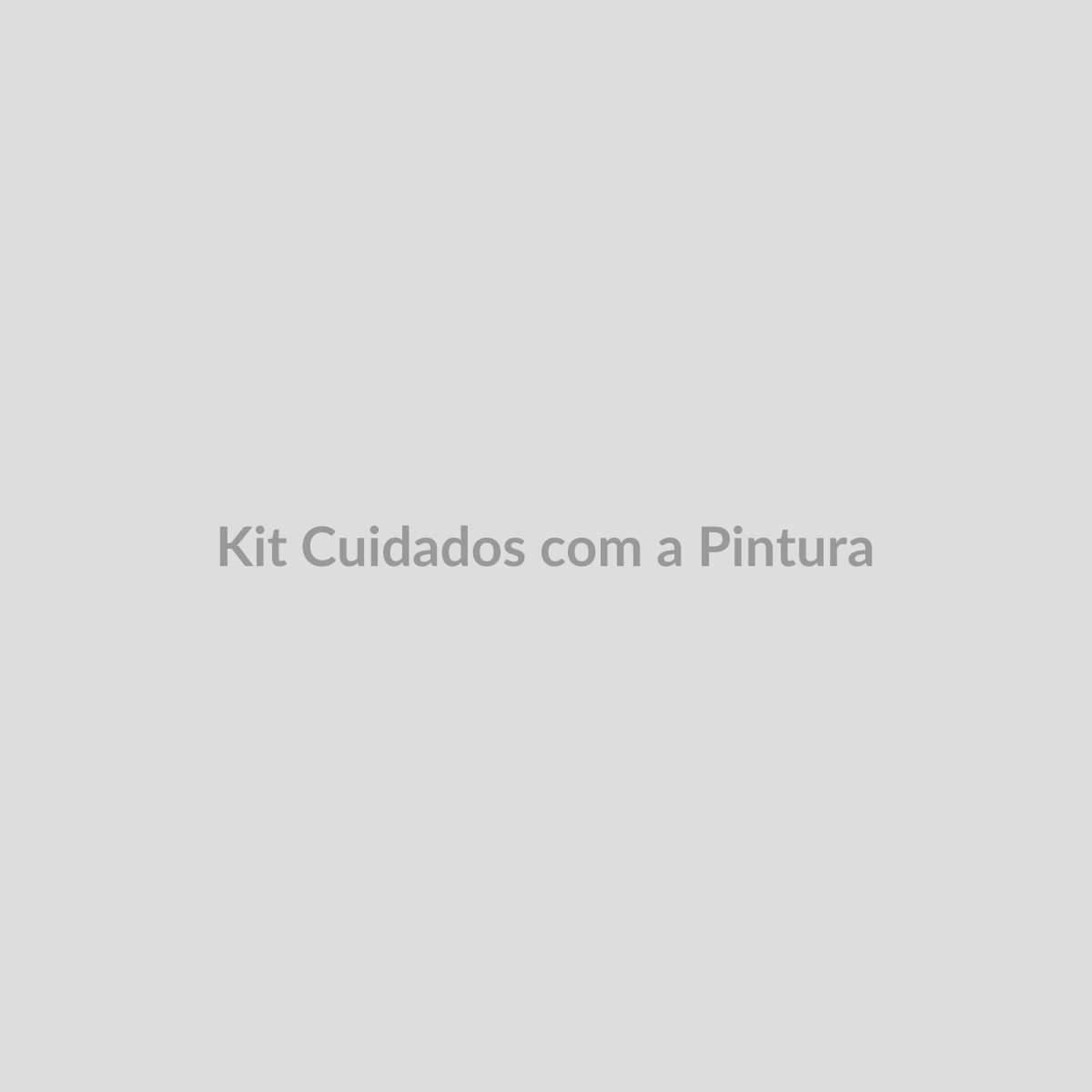 Kit Cuidados com a Pintura — FN Mobility