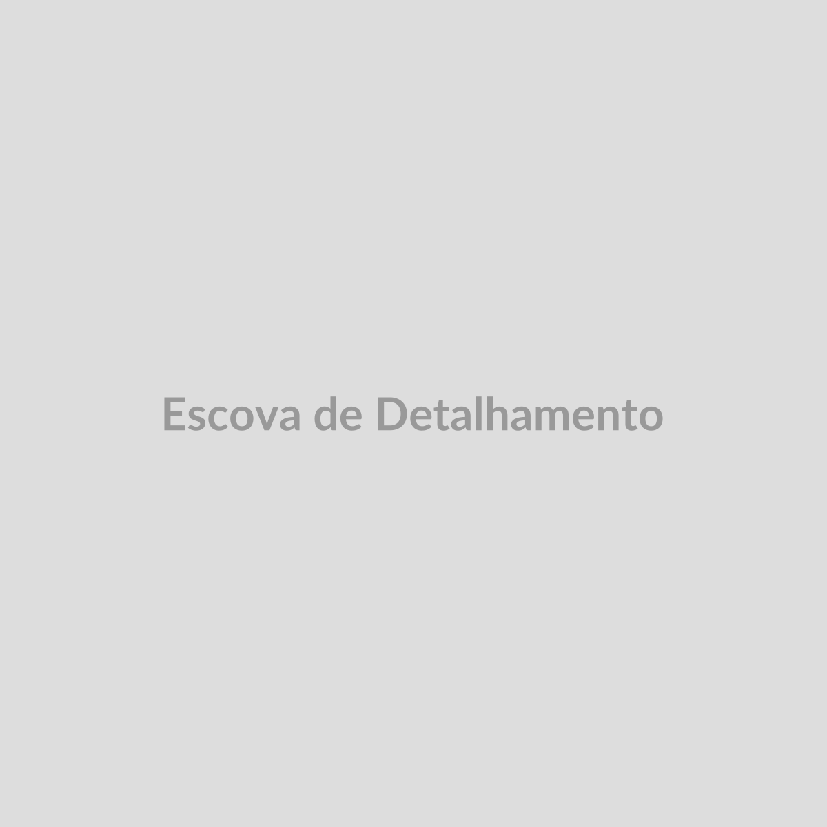 Escova de Detalhamento — FN Mobility